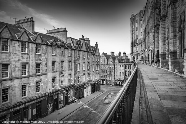 View from Victoria Terrace in Edinburgh - Monochrome Picture Board by Melanie Viola