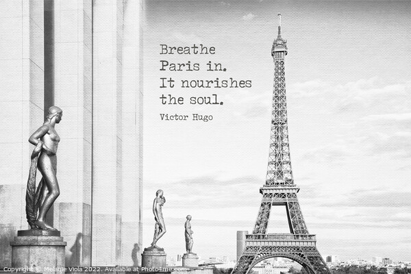 Breathe Paris in Picture Board by Melanie Viola
