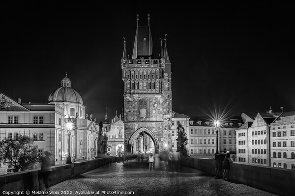 Evening bustle at the Charles Bridge - Monochrome Picture Board by Melanie Viola