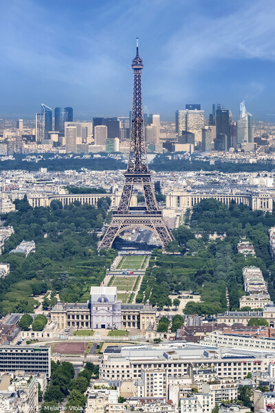 Paris Skyline Picture Board by Melanie Viola