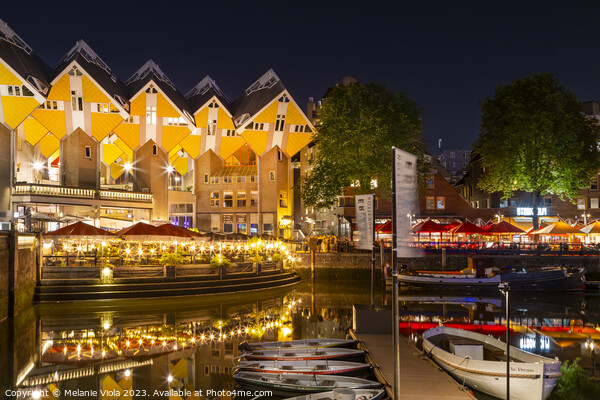 ROTTERDAM Oude Haven and Cube Houses by night Picture Board by Melanie Viola