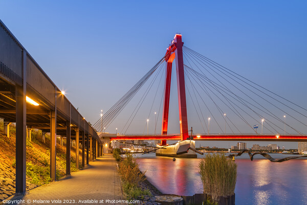 ROTTERDAM Willemsbrug and Boompjeskade in the evening Picture Board by Melanie Viola