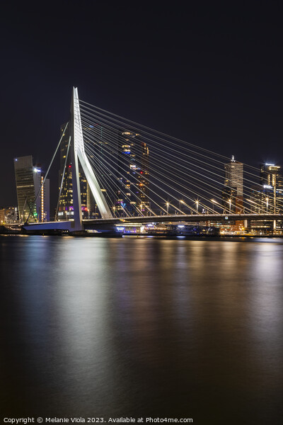 Erasmus Bridge at night with Rotterdam skyline Picture Board by Melanie Viola