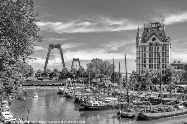 ROTTERDAM Willemsbrug and Witte Huis at historic Oude Haven | Monochrome Picture Board by Melanie Viola