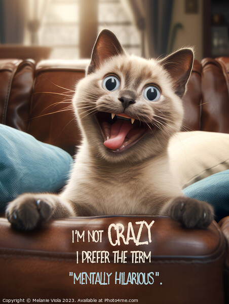 FUNNY CAT Craziness Picture Board by Melanie Viola