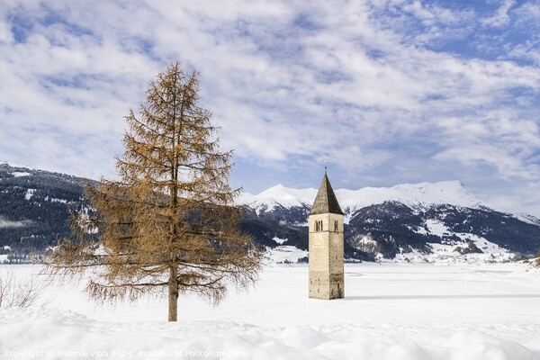 Resia Lake with the sunken church tower in winter Picture Board by Melanie Viola