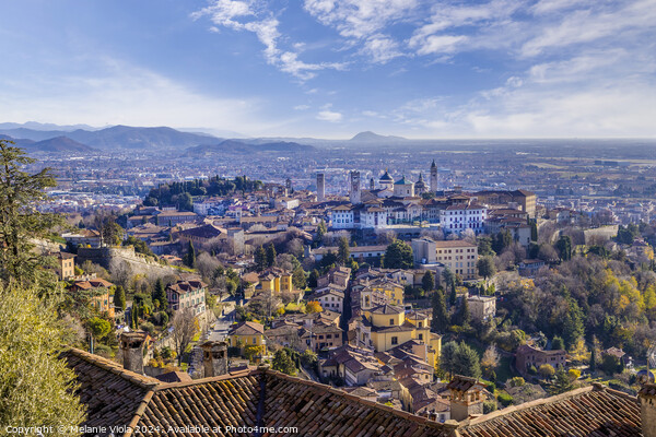 Overlooking Bergamo from San Vigilio Picture Board by Melanie Viola