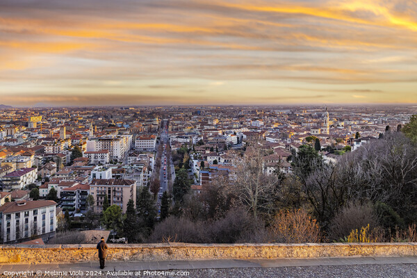 BERGAMO View over Città Bassa at sunset Picture Board by Melanie Viola
