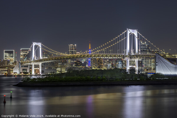 Striking Rainbow Bridge and Tokyo Skyline at night Picture Board by Melanie Viola