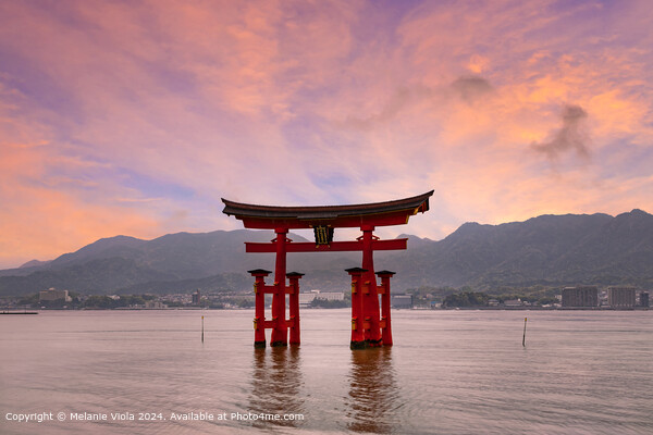 Floating Torii Gate Sunset Picture Board by Melanie Viola