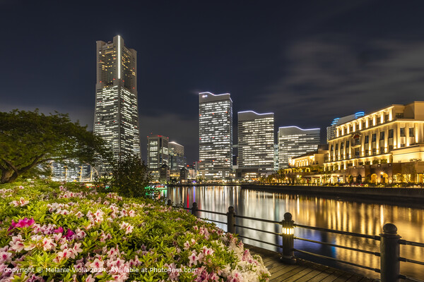 Idyllic Yokohama skyline at night Picture Board by Melanie Viola