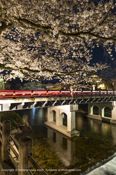 Charming Nakabashi Bridge in the evening Picture Board by Melanie Viola
