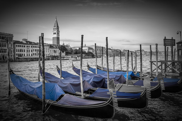VENICE Grand Canal and St Mark's Campanile Picture Board by Melanie Viola