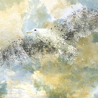Buy canvas prints of Vanishing Seagull by Melanie Viola