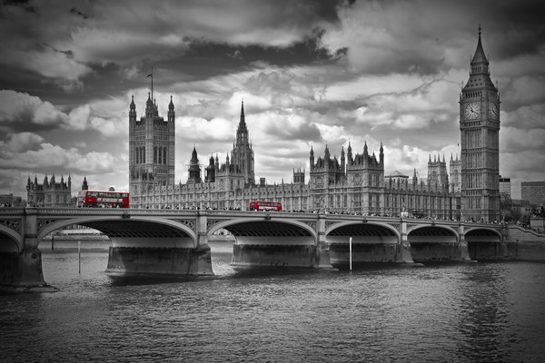 LONDON Houses of Parliament and Red Buses Picture Board by Melanie Viola