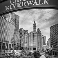 Buy canvas prints of CHICAGO River Walk black and white by Melanie Viola