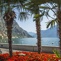 Buy canvas prints of LAKE GARDA Gorgeous Lakeside Limone sul Garda by Melanie Viola