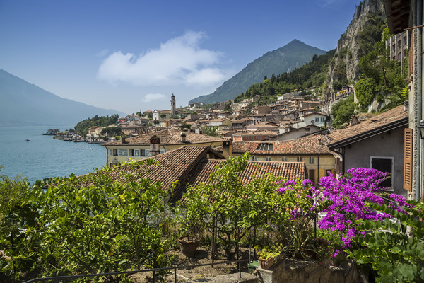 LAKE GARDA Limone sul Garda Picture Board by Melanie Viola