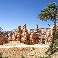Buy canvas prints of Beautiful BRYCE CANYON by Melanie Viola
