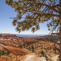 Buy canvas prints of BRYCE CANYON Overlook by Melanie Viola