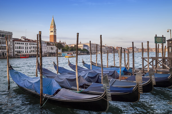 VENICE Grand Canal and St Mark's Campanile Picture Board by Melanie Viola