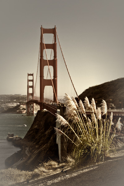 Urban Golden Gate Bridge Picture Board by Melanie Viola