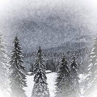 Buy canvas prints of Bavarian Winter's Tale I by Melanie Viola