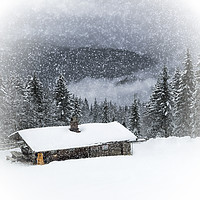 Buy canvas prints of Bavarian Winter's Tale II by Melanie Viola