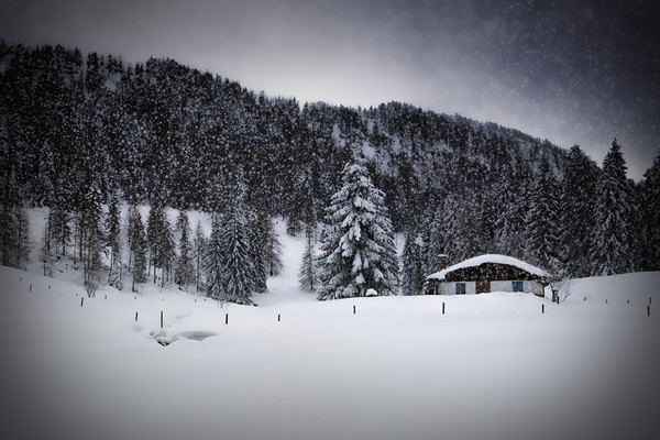 Bavarian Winter's Tale VIII Picture Board by Melanie Viola