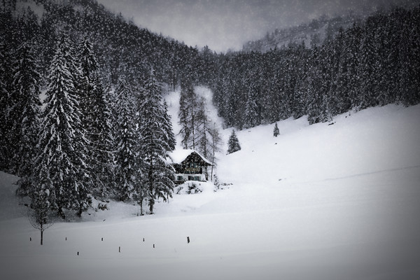 Bavarian Winter's Tale IX Picture Board by Melanie Viola