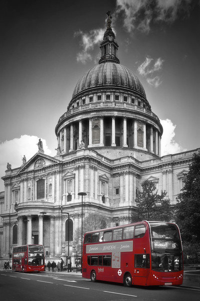 LONDON St. Paul’s Cathedral & Red Bus Picture Board by Melanie Viola