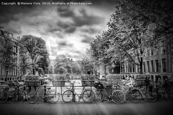 AMSTERDAM Gentlemen’s Canal | Typical Cityscape  Picture Board by Melanie Viola