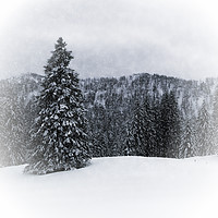 Buy canvas prints of GERMANY Bavarian Winter's Tale IV by Melanie Viola