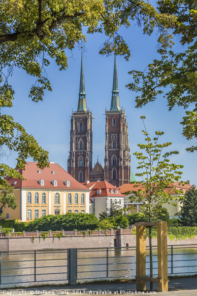 WROCLAW Cathedral of St John the Baptist Picture Board by Melanie Viola