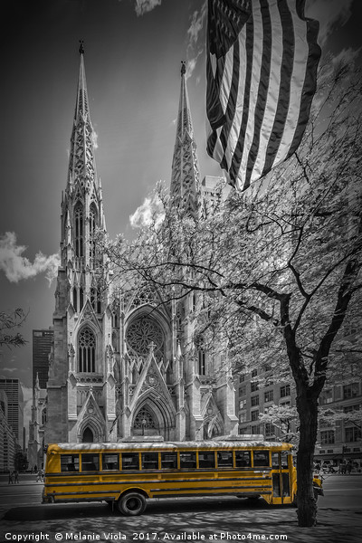 NEW YORK CITY St. Patrick's Cathedral Picture Board by Melanie Viola