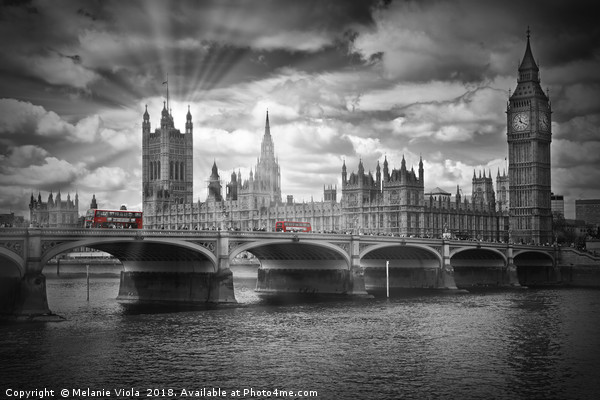 LONDON Westminster Bridge and red buses Picture Board by Melanie Viola