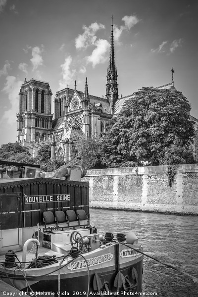 PARIS Cathedral Notre-Dame | monochrome Picture Board by Melanie Viola