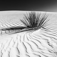 Buy canvas prints of Dunes, White Sands National Monument by Melanie Viola