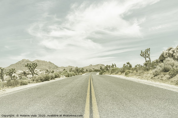 Highway and Joshua Trees | Vintage Picture Board by Melanie Viola