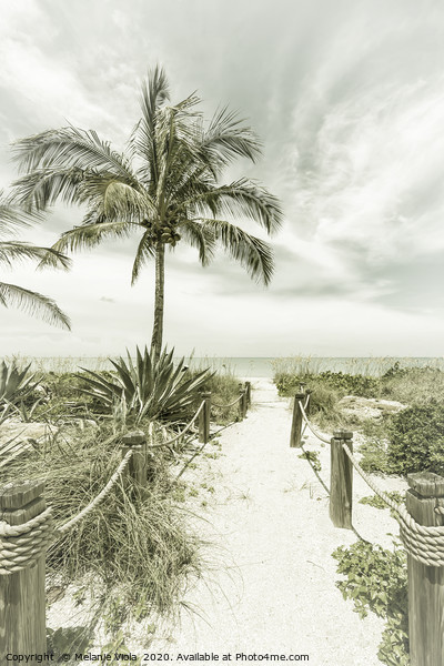 Path to the beach | Vintage Picture Board by Melanie Viola