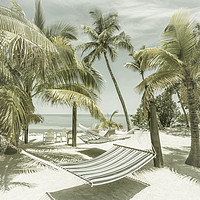 Buy canvas prints of FLORIDA Heavenly Place | Vintage by Melanie Viola