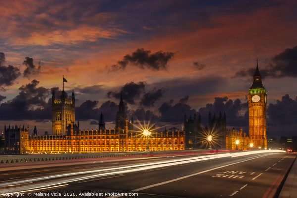 Nightly view from London Westminster  Picture Board by Melanie Viola