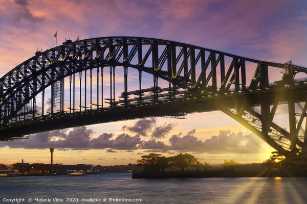 Sydney Harbor Bridge at sunset Picture Board by Melanie Viola