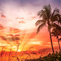 Buy canvas prints of BONITA BEACH Picturesque Sunset by Melanie Viola