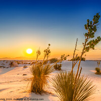 Buy canvas prints of White Sands Sunset  by Melanie Viola