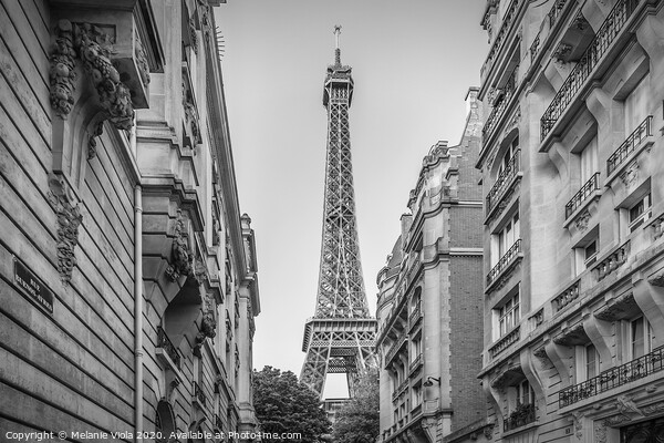 Parisian Flair | monochrome Picture Board by Melanie Viola