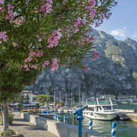 Buy canvas prints of LAKE GARDA Harbour & Riverside in Limone sul Garda by Melanie Viola