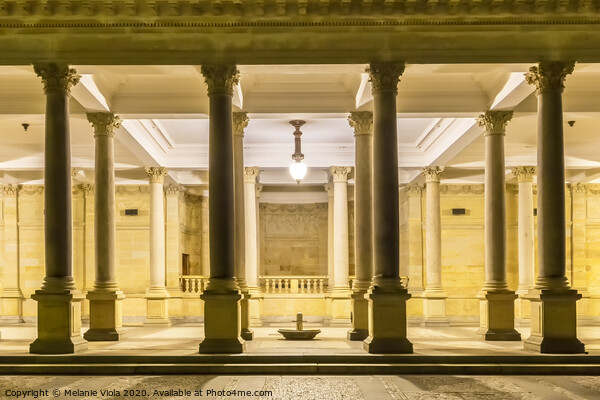 KARLOVY VARY Mill Colonnade with Prince Wenceslas hot spring at Night Picture Board by Melanie Viola