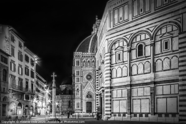 FLORENCE Saint Mary of the Flowers & Baptistery in the evening Picture Board by Melanie Viola