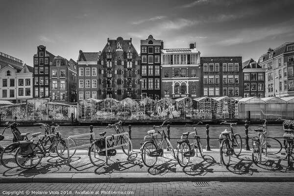 AMSTERDAM Singel Canal with Flower Market | monochrome Picture Board by Melanie Viola